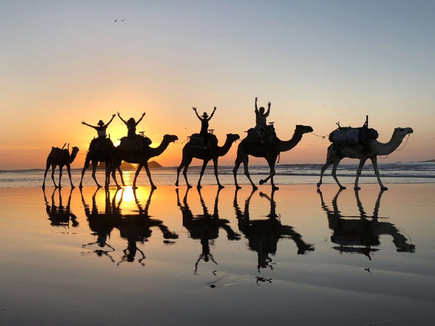 Camel ride in sunset time with barbecue