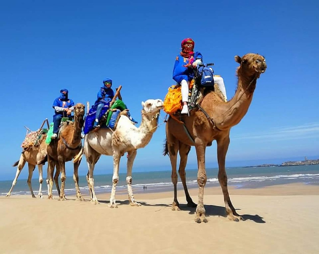 camel riding in taghazoute