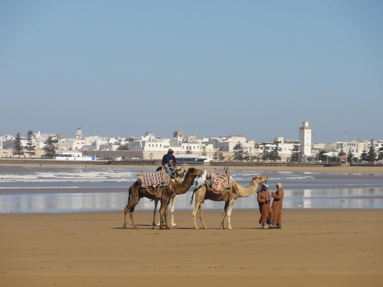 day trip to essaouira