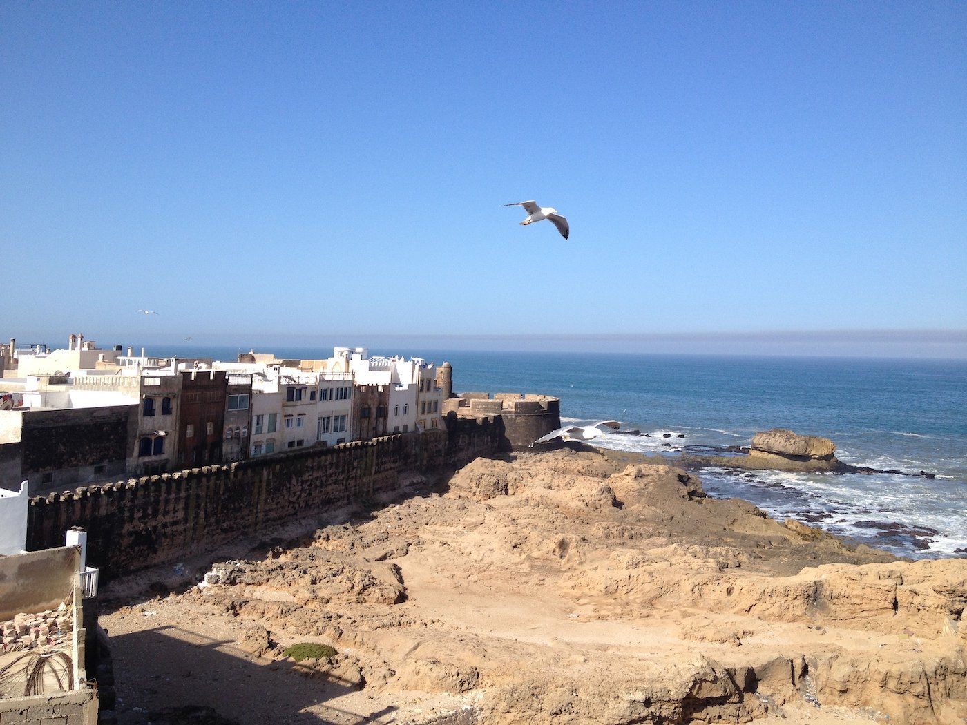 essaouira guided day trip