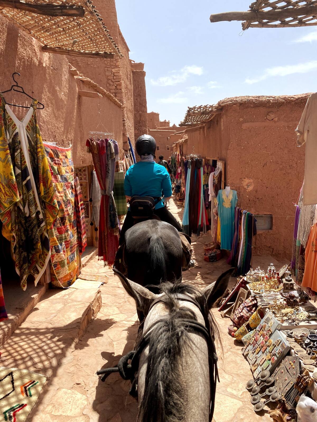 souss massa day tour