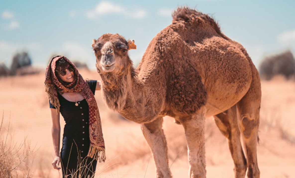 souss massa desert trip from agadir