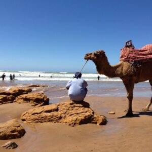 taghazoute camel ride