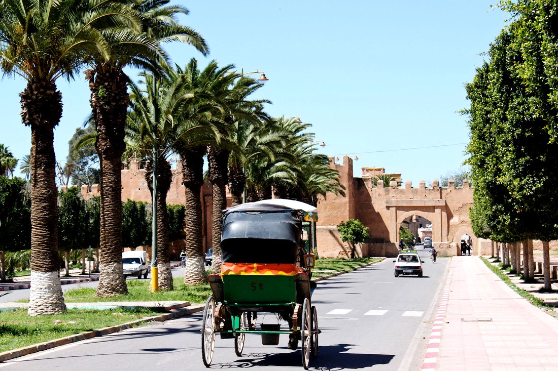 taroudant et tiout day trip